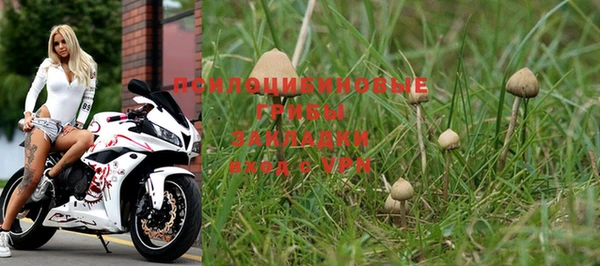PSILOCYBIN Тобольск