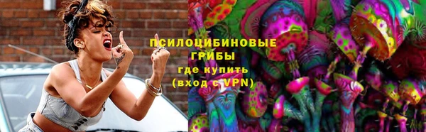 PSILOCYBIN Тобольск